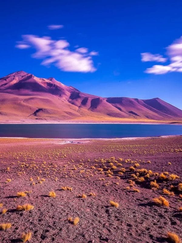 Atacama Gölü, Şili
